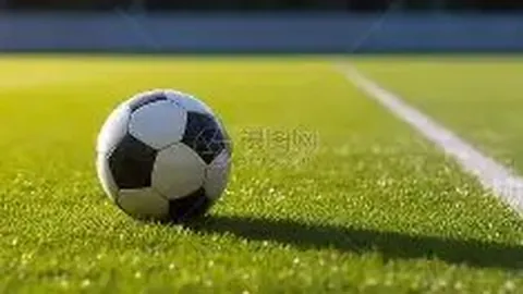 TP钱包：合约地址透明化与生态安全管理解析