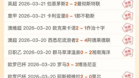 GreedFall失落之国攻略：伙伴好感与恋爱培养