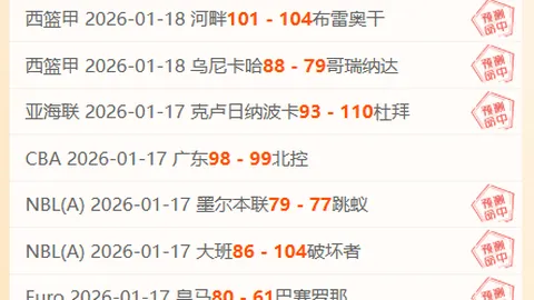 巴兰基亚主场对抗帕尔梅拉斯策略分析